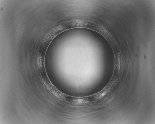 X0000054450326200507291323