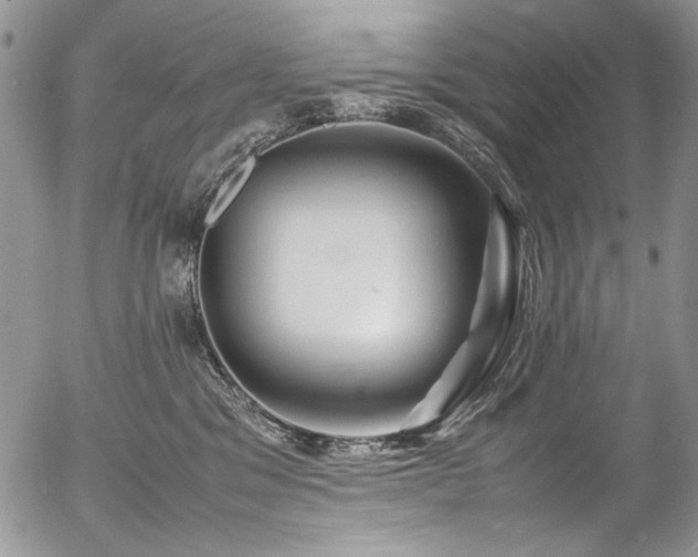 X0000054450329200507291323