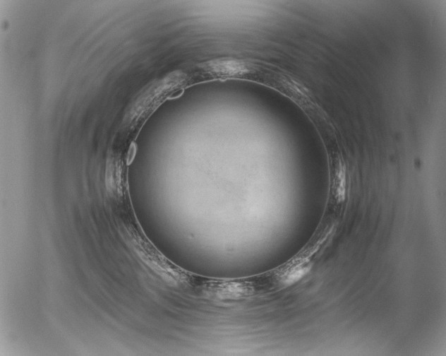 X0000054450330200507291323