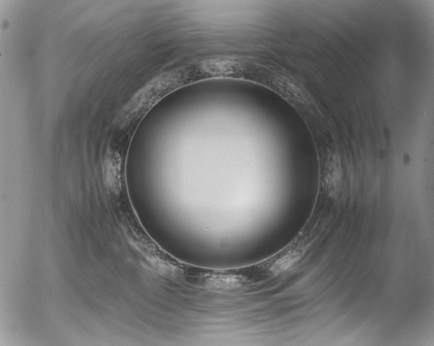 X0000054450332200507291323
