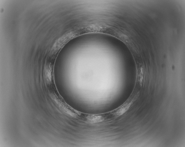 X0000054450334200507291323