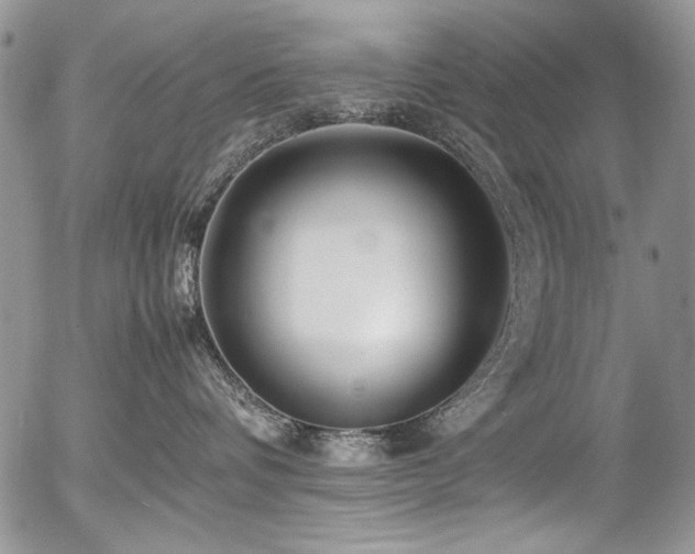 X0000054450336200507291323