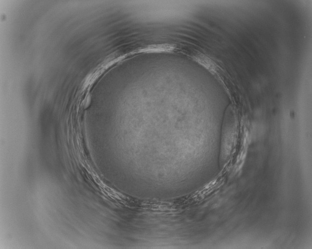 X0000054450337200507291322