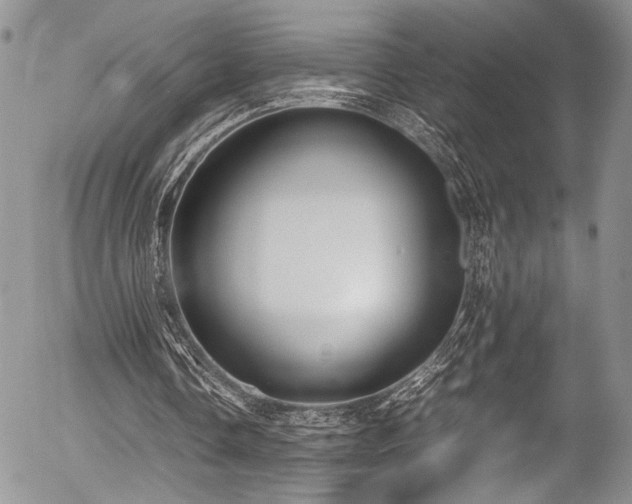 X0000054450338200507291322