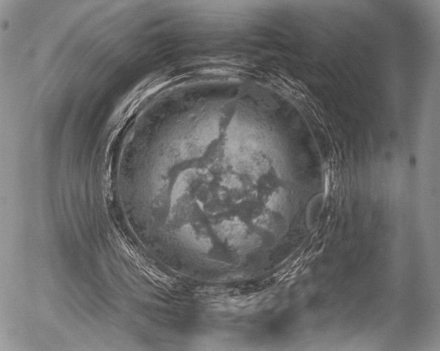 X0000054450339200507291322