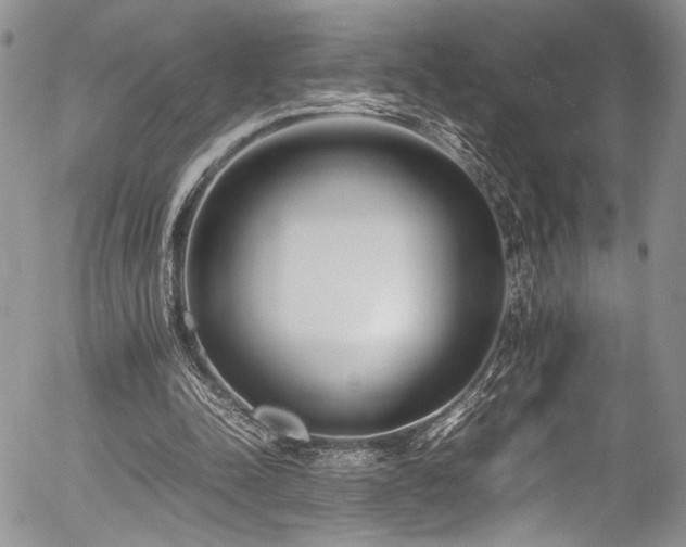 X0000054450342200507291322