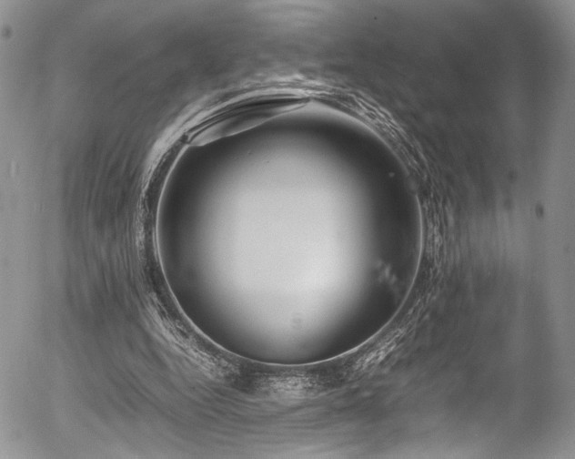 X0000054450344200507291322