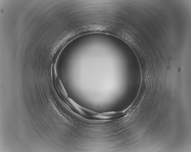 X0000054450352200507291322