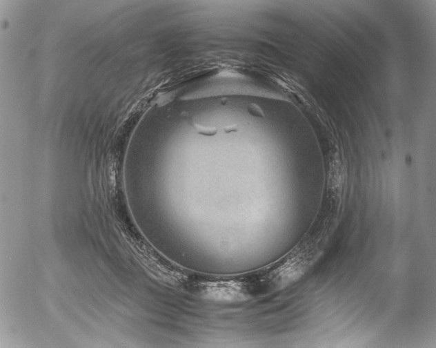 X0000054450363200507291322