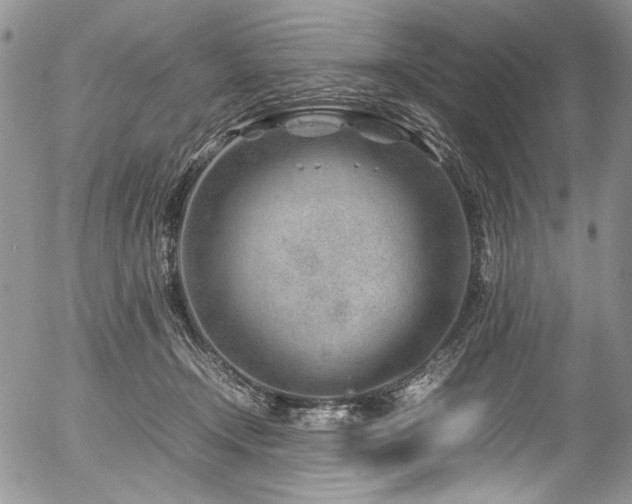 X0000054450366200507291322