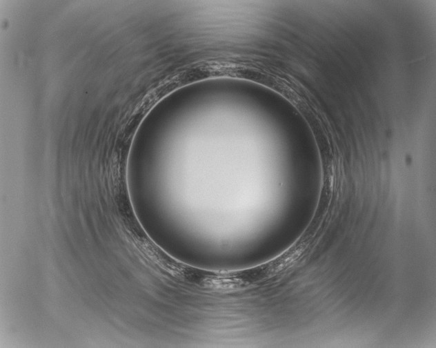 X0000054450372200507291323