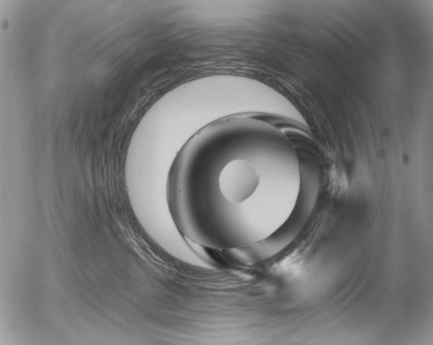 X0000054450380200507291323