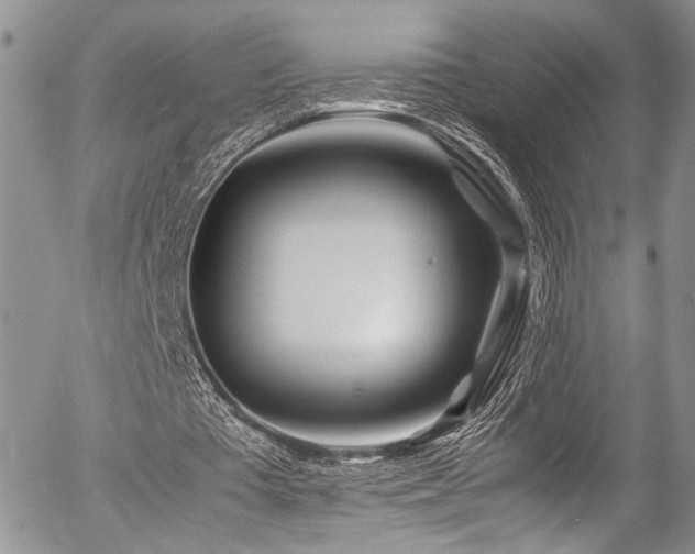 X0000054450385200507291322