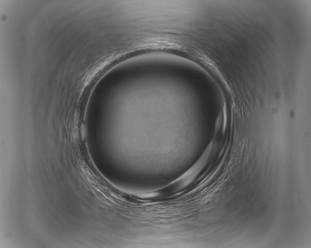 X0000054450387200507291322