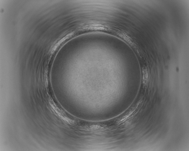 X0000054450390200507291322