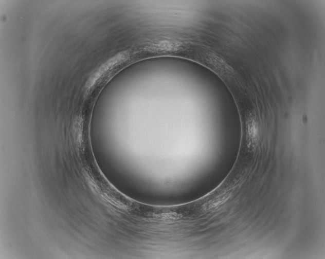 X0000054450396200507291322