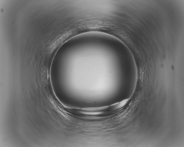 X0000054450397200507291322