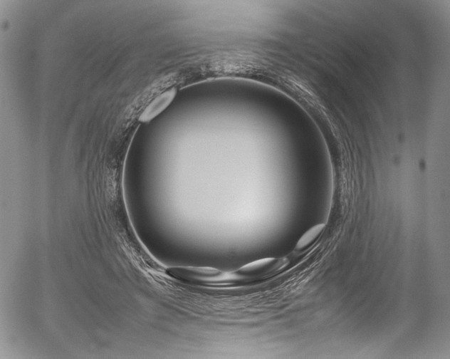 X0000054450401200507291322