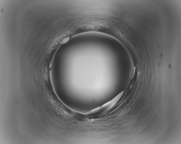 X0000054450403200507291322
