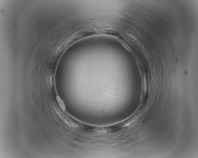 X0000054450405200507291322