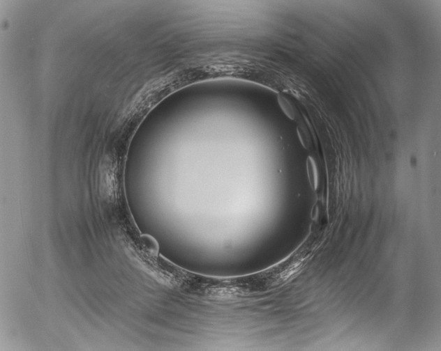 X0000054450408200507291322