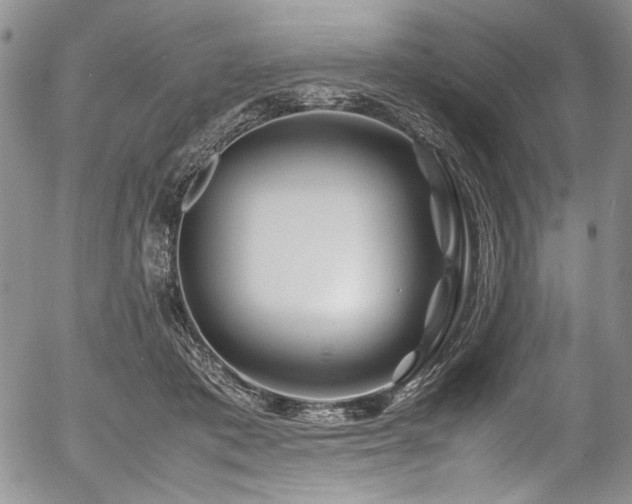 X0000054450413200507291321