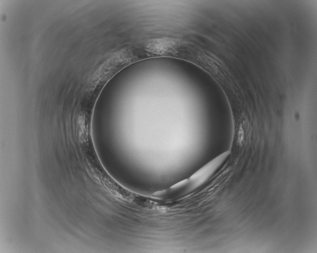 X0000054450420200507291321