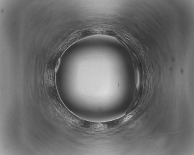 X0000054450421200507291321