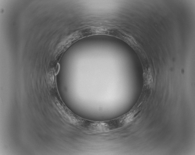X0000054450427200507291321