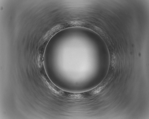 X0000054450428200507291321
