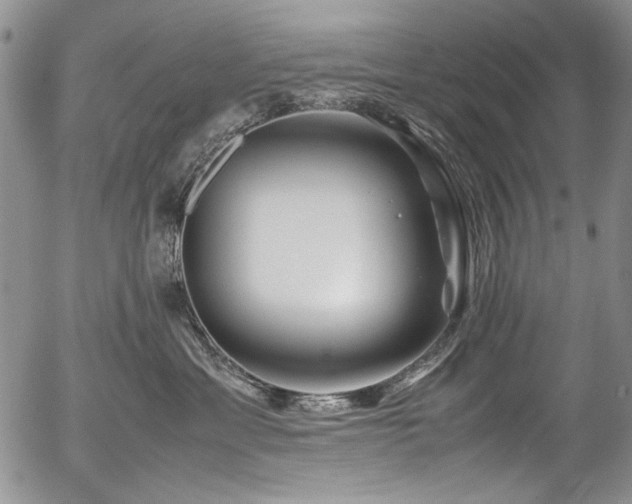 X0000054450429200507291321