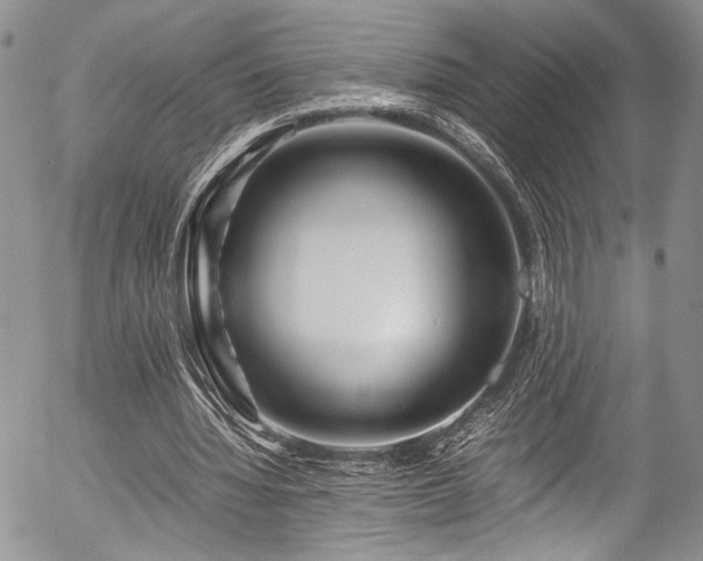 X0000054450436200507291320