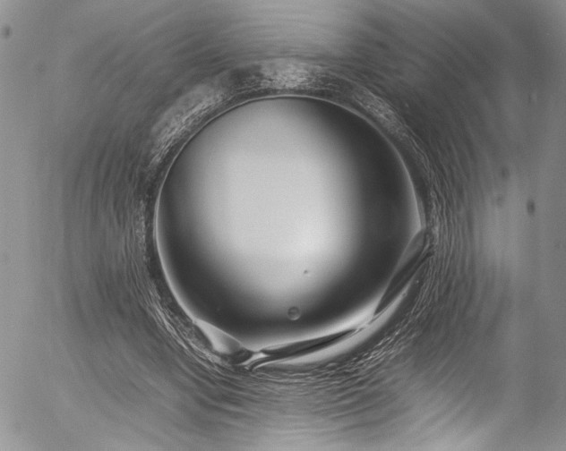 X0000054450442200507291321