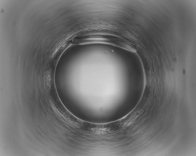X0000054450448200507291321