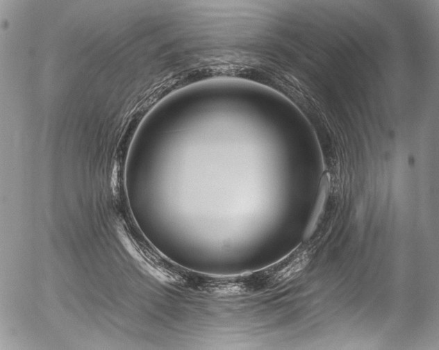 X0000054450456200507291321