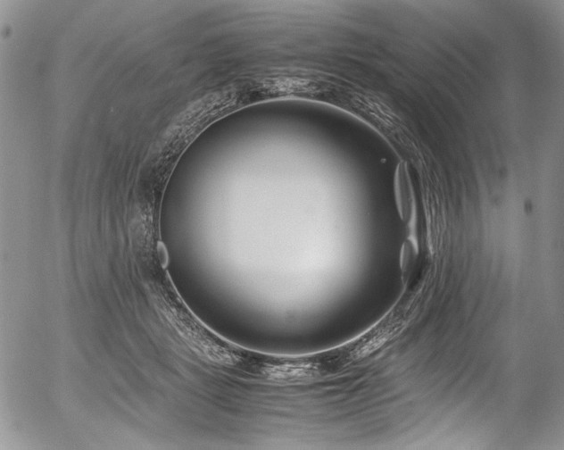 X0000054450461200507291321