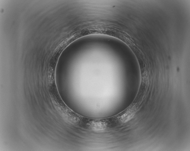 X0000054450464200507291321