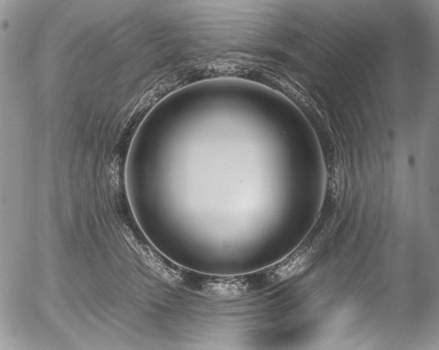 X0000054450466200507291321