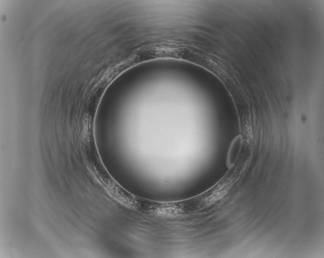 X0000054450468200507291321