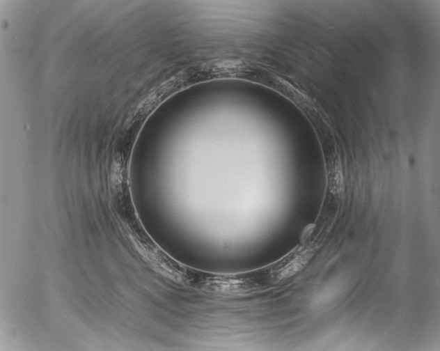X0000054450472200507291321