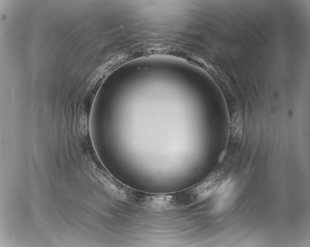 X0000054450474200507291321