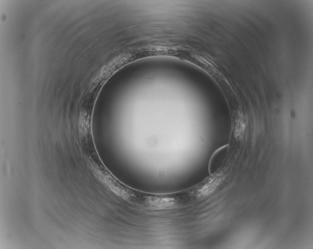 X0000054450476200507291321