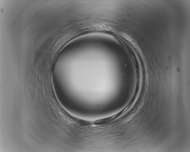 X0000054450481200507291320