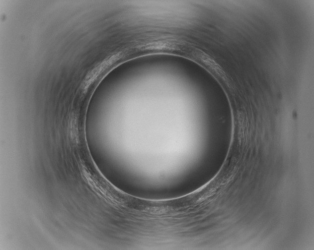 X0000054450482200507291320