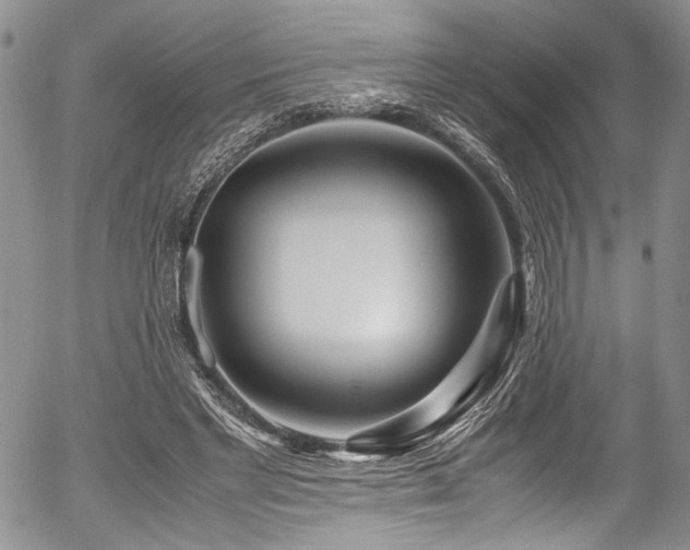 X0000054450493200507291320