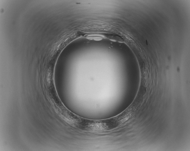 X0000054450499200507291320