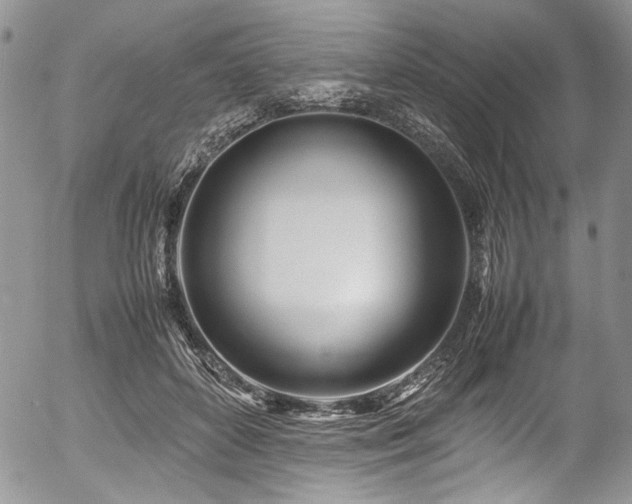X0000054450504200507291320