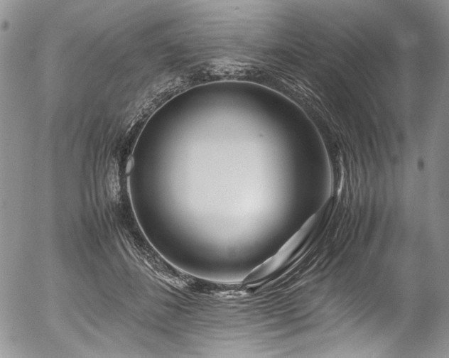 X0000054450508200507291320