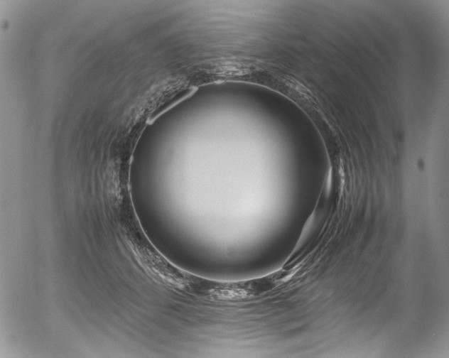 X0000054450512200507291320