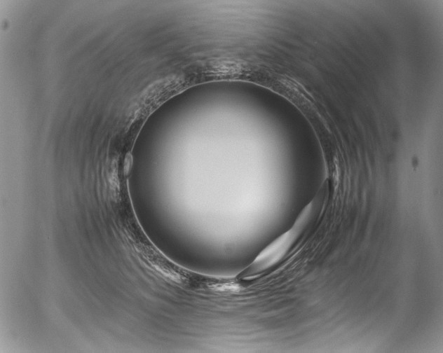X0000054450516200507291320